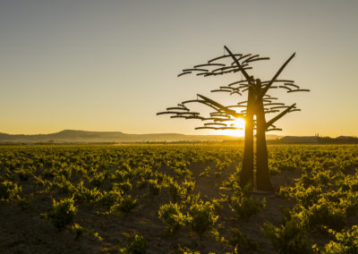 Vega Sicilia - Espagne